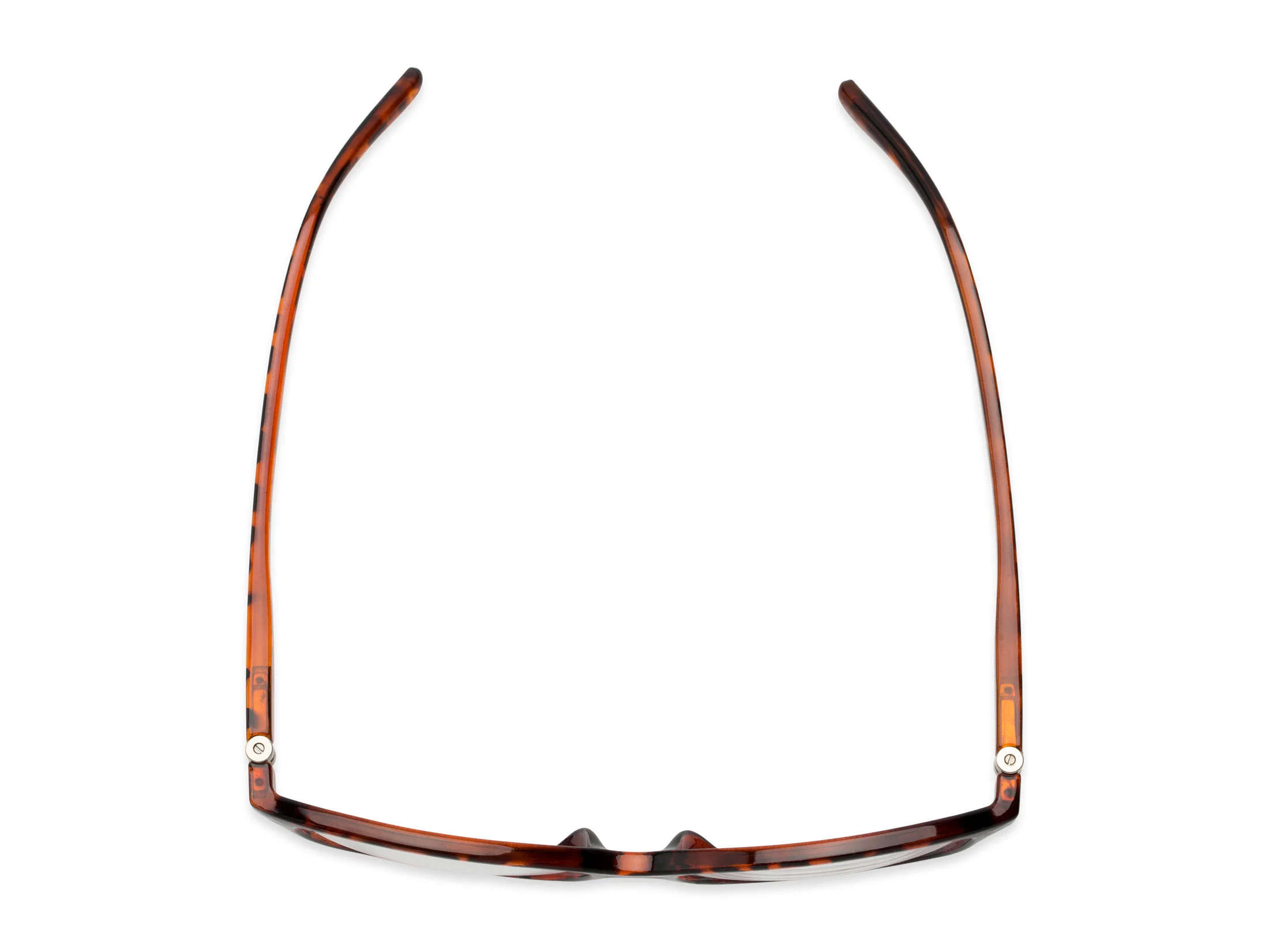 The Lenora Bifocal