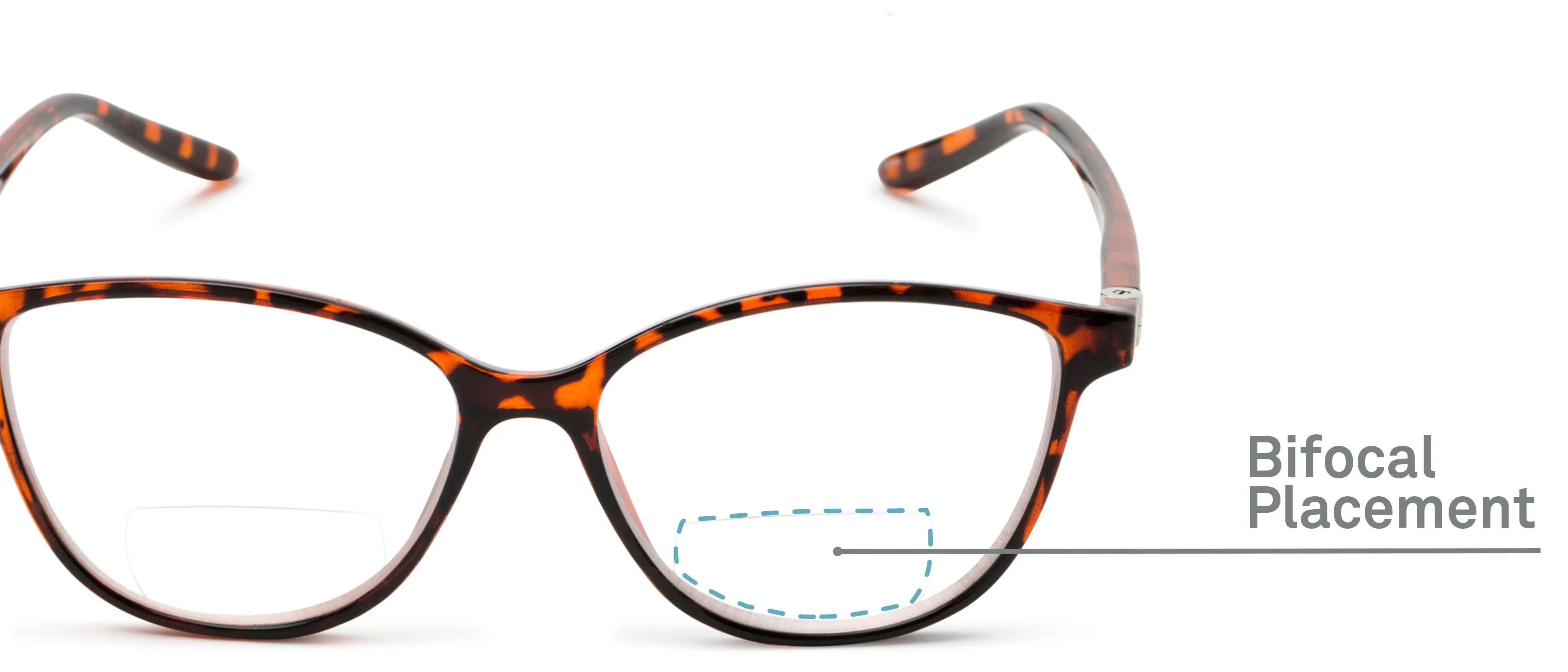The Lenora Bifocal