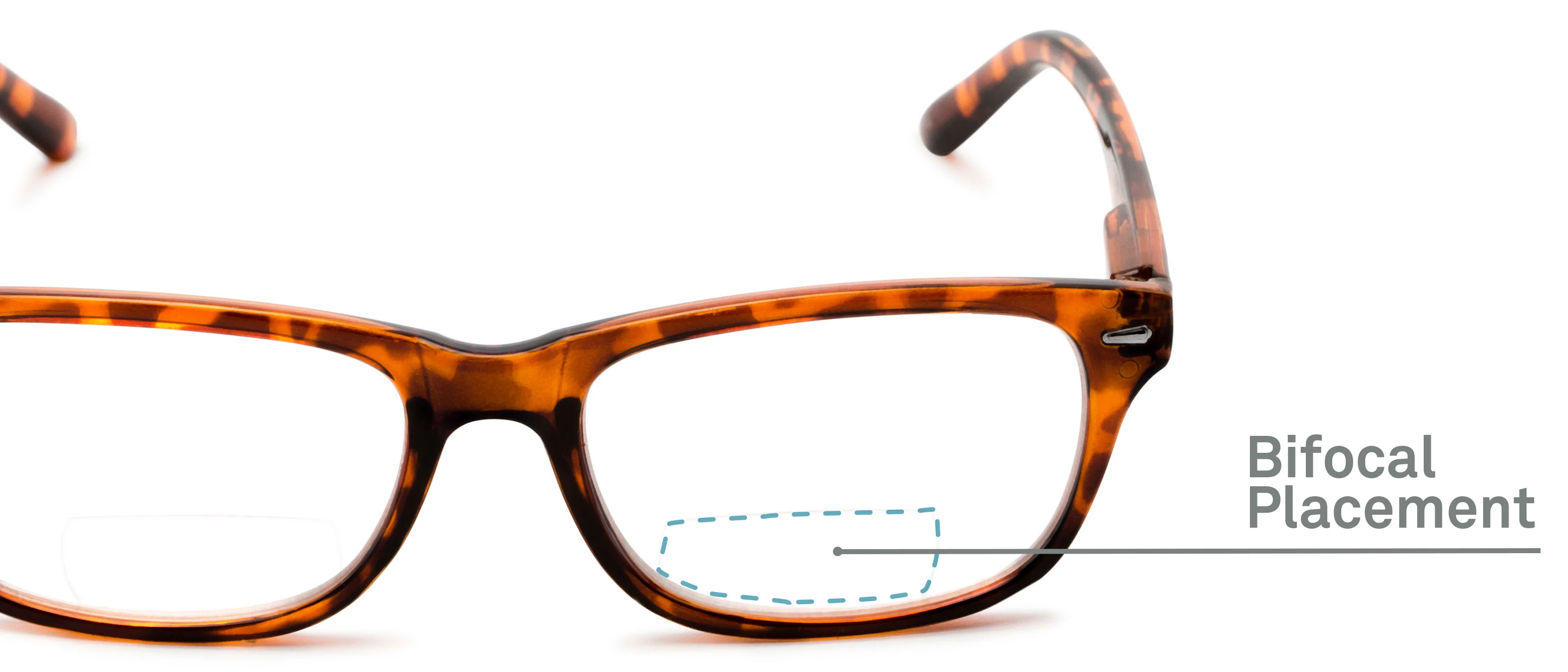 The Emery Bifocal 12 The Emery Bifocal