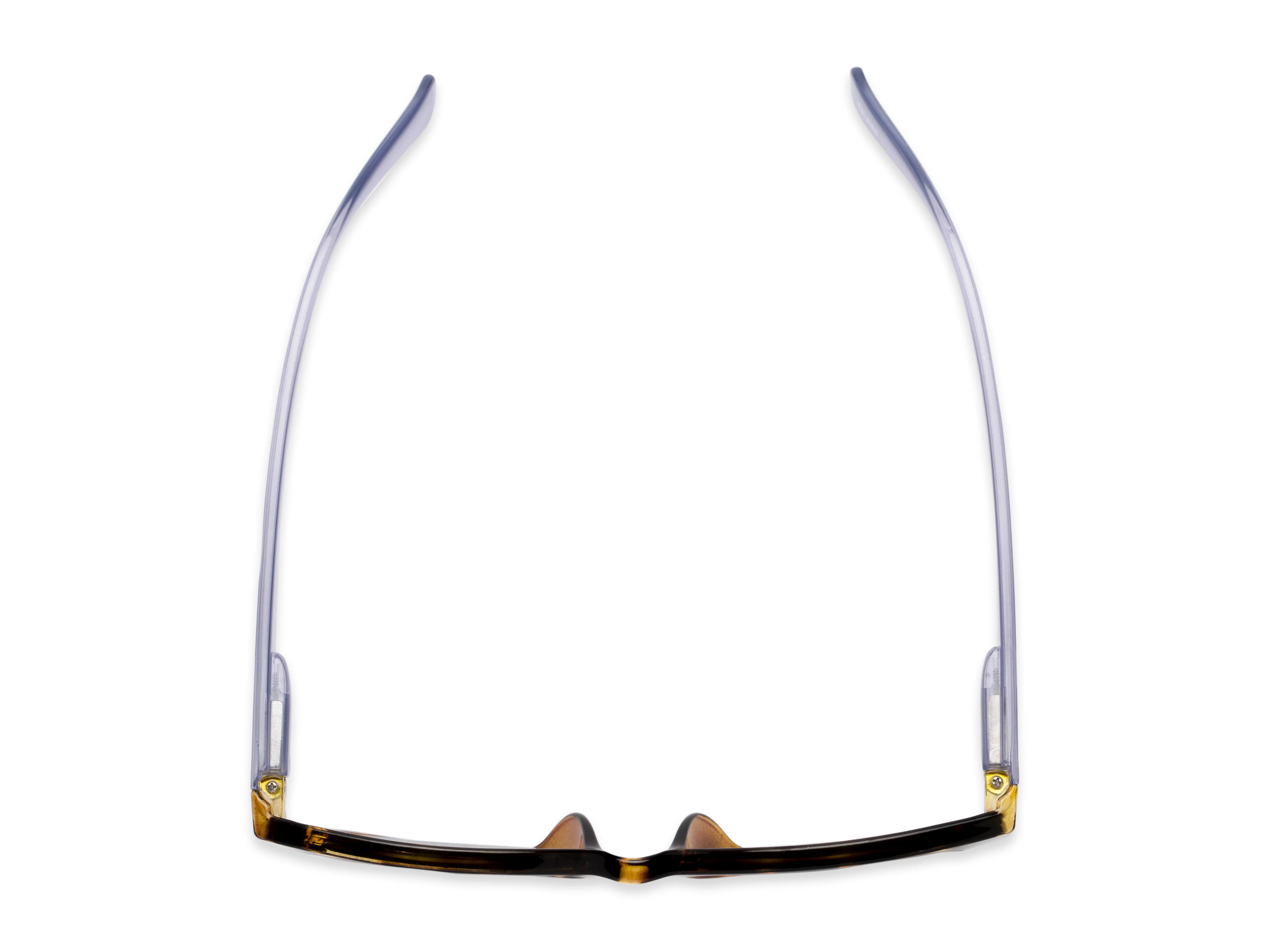 The Azalea Reading Sunglasses 4 The Azalea Reading Sunglasses