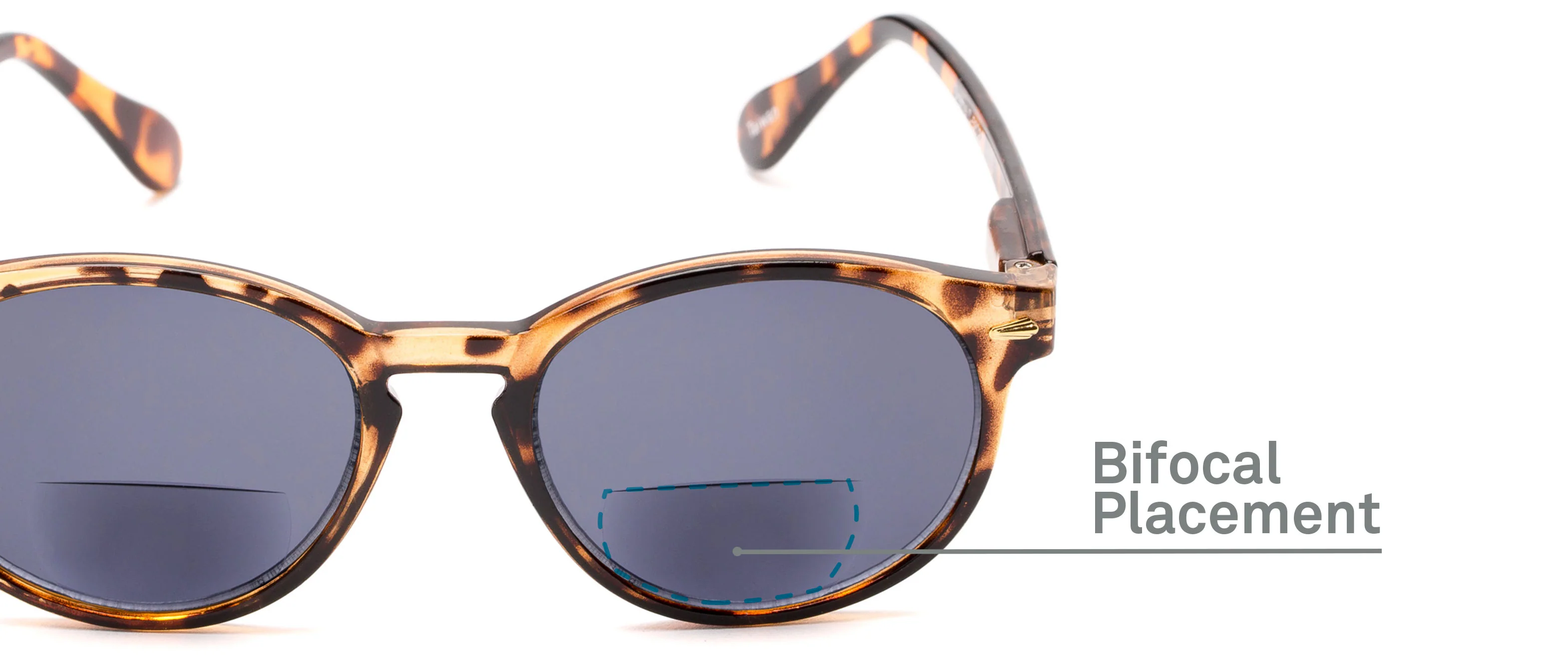 The Drama Bifocal Reading Sunglasses 12 The Drama Bifocal Reading Sunglasses