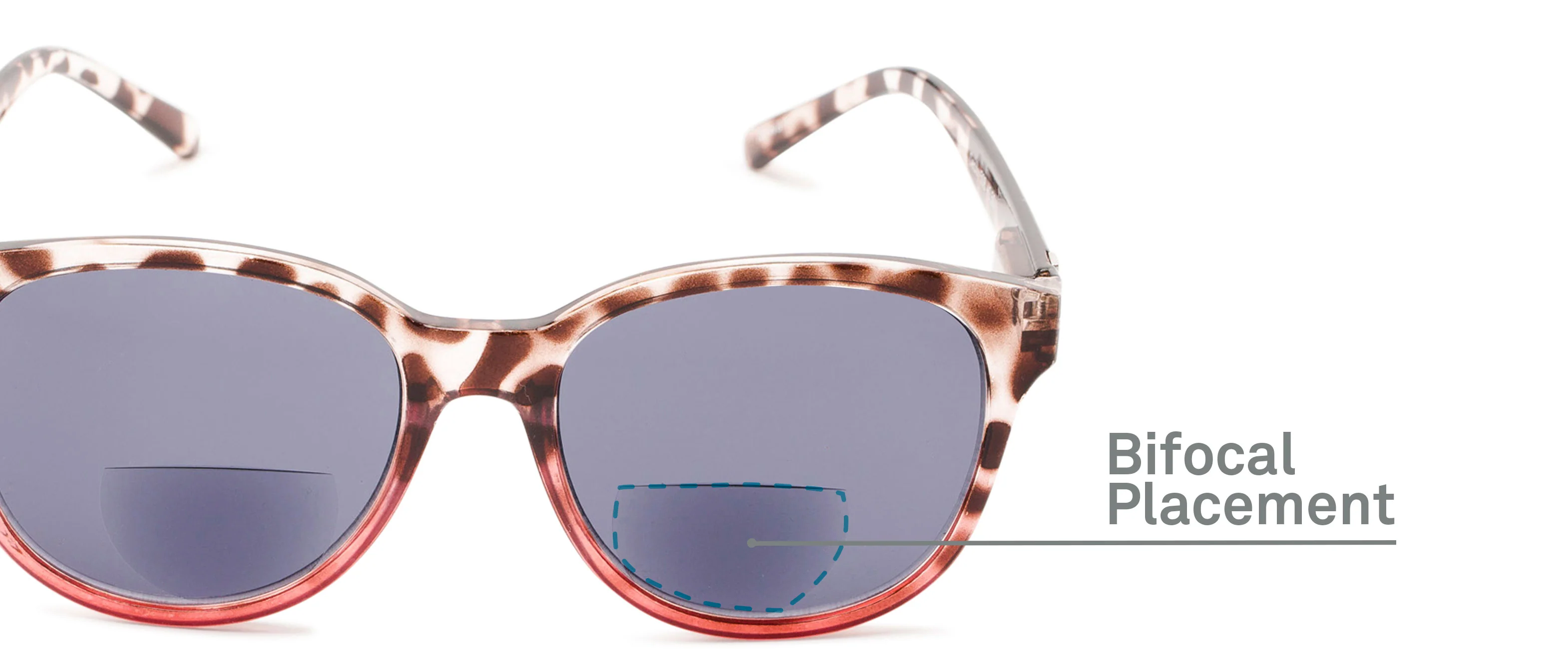 The Cecily Bifocal Reading Sunglasses 12 The Cecily Bifocal Reading Sunglasses