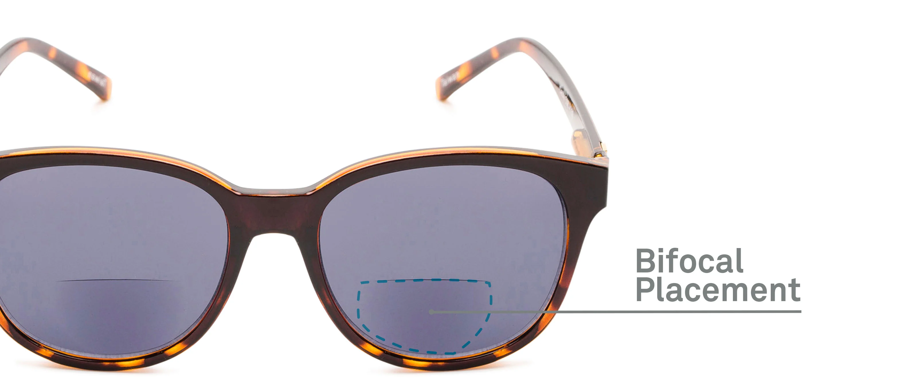 The Cecily Bifocal Reading Sunglasses 24 The Cecily Bifocal Reading Sunglasses