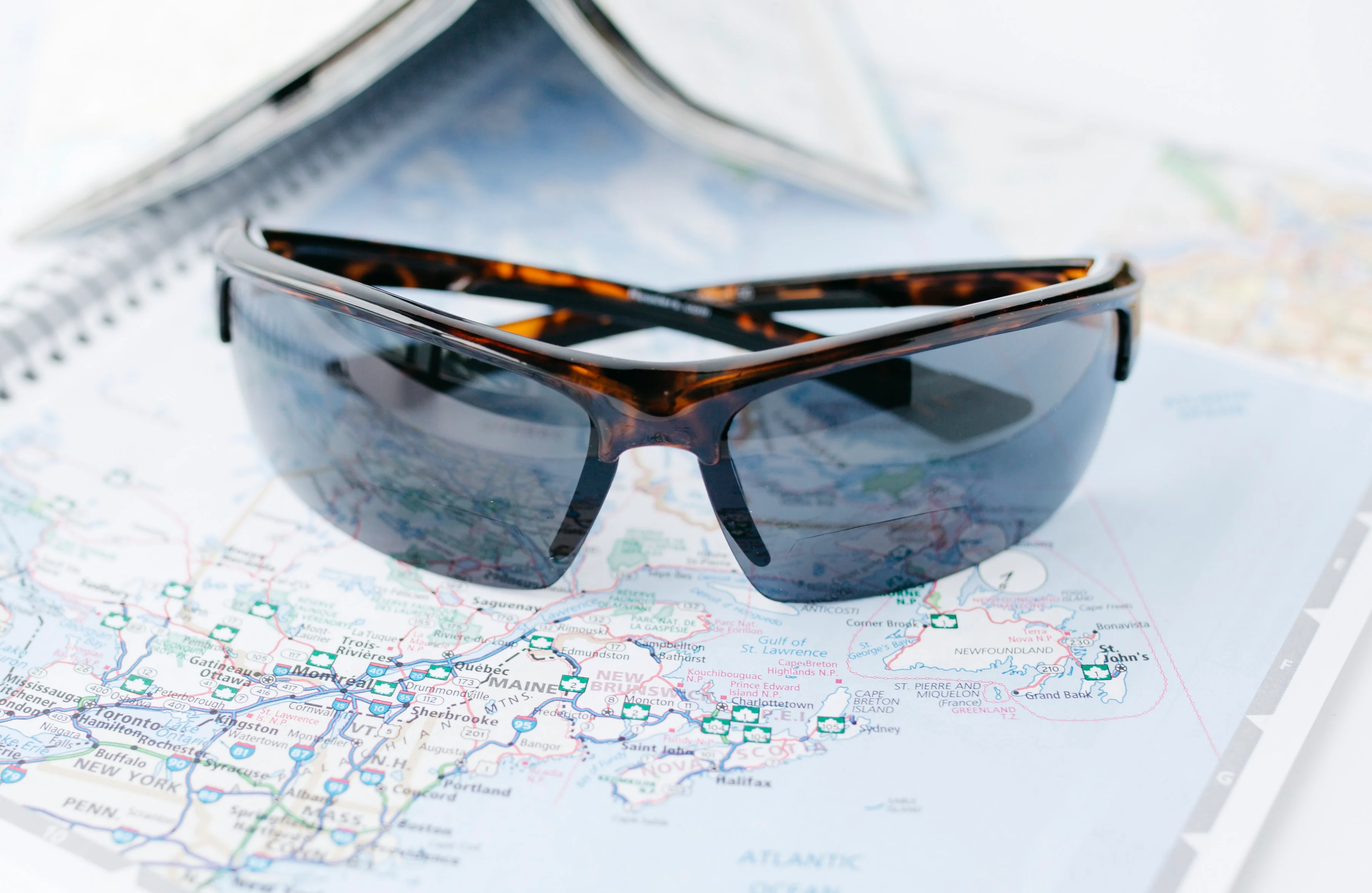 The Roster Bifocal Reading Sunglasses 25 The Roster Bifocal Reading Sunglasses